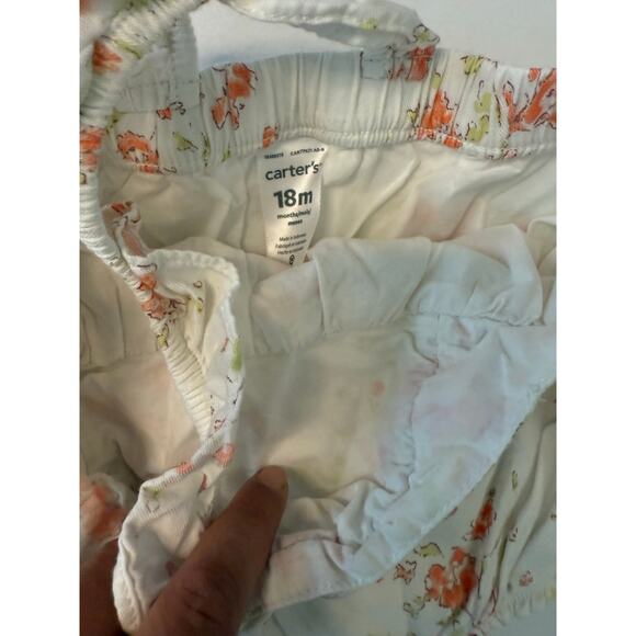 18M Girls Dress Lot 4 - Bonnie Baby, Carter's, Garanimals - Picture 8 of 10